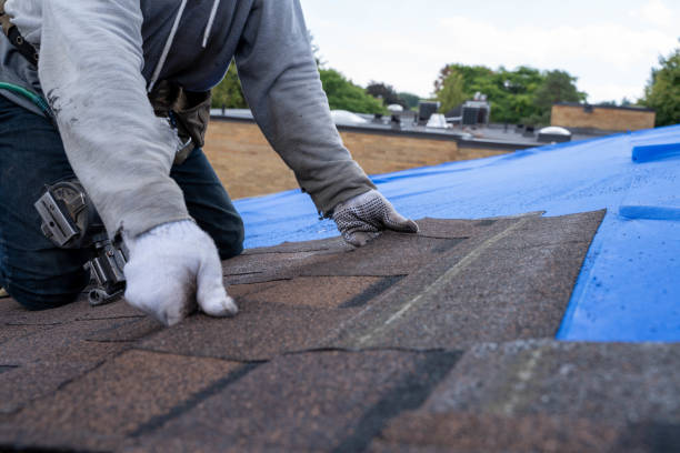 Best Flat Roof Repair Services  in East Highland Park, VA