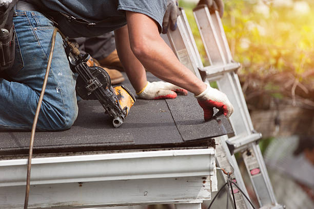 Best Roof Maintenance Services  in East Highland Park, VA